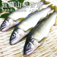 在飛比找森森購物網優惠-【歐嘉嚴選】特選宜蘭公香魚7尾組-980G