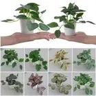 Multicolor Artificial Plants Bonsai Accessories Faux Grass Potted Gift