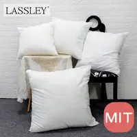 在飛比找Yahoo奇摩購物中心優惠-LASSLEY 方形抱枕-枕心 65cm(台灣製造棉心 枕芯