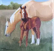 Original oil painting western horse colt foal sorrel Carol Proebstel