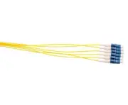 MSS Fibre LC OS1/OS2 SM PIGTAILS - 900UM 2M 6PK PLC2M/900-SM6