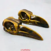 3'' Natural Tiger's eye Crow Skull Quartz Crystal Bird Skull Reiki Healing 1pc