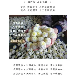 【拾月厚蒔】枸杞菊花茶 立體茶包40入 | 有機栽種菊花 高密封鋁袋