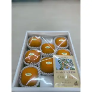 【日本和歌山溫室甜柿】10玉高級質感禮盒裝 中秋送禮好選擇