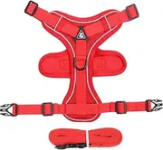 Harness for Cat - Breathable Cat Vest Harness - Cat Harness and Lead Set for Walking Kitten and Puppy, Escape Proof Kitten Harness Reflective