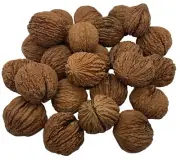 Black Walnuts In-Shell (1 pound) Wild Foraged