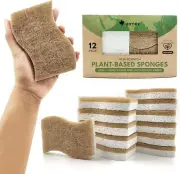 Biodegradable Compostable Cellulose and Coconut Scrubber Sponge - Pack of 12