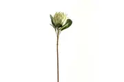Hill Interiors Protea Protea Artificial Flower (White) (One Size)