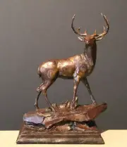 Sculpture Bronze Western American White Tail Deer- NATIYA BRONZE