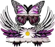 DimyFew Butterfly Wall Shelf, Display Shelf, Cute Wall Decorations, Storage, Floating Wooden Shelves for Kids Room Decoration, Plants, as described, Double Layer