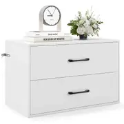 Costway 2-Drawer Dresser Chest of Drawers Side End Table Nightstand Bedside Table Cabinet w/Metal Slide White