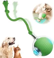 Interactive Cat Ball Toy, Interactive Dog Ball, Automatic Toy with Imitation Cord Mouse, Rolling Cat Ball Toy, Rolling Dog Ball (Green)