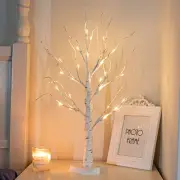 2FT Birch Tree with LED Lights, Warm White Artificial Fairy Light Spirit Tree La