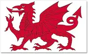 CafePress Welsh Dragon Car Magnet, 20"x 12" Magnetic Door Display