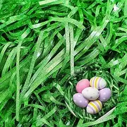 Easter Grass Paper, Darryy 100 g Easter Grass Green, Shredded Paper Filling Material, Filling Material Gift, Easter Grass Decorative Grass for Easter Basket, Easter Nest, Easter Gift Box, Gift Bag