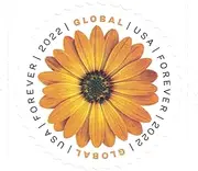 USPS Global International Mail Forever Postage Stamps (2 Sheets of 10)