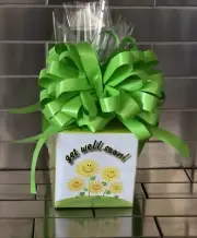 Get Well Soon Lollipop Gift Basket-Box Wrapped With Green Bow Pick Lollipops