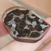 10.6G SERICHO pallasite Meteorite slice from Kenya