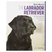 Magnet & Steel Book Best Of Labrador Retriever