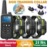 Pet training collar with automatic barking stop dog Remote Pet collar tlool
