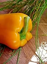 Heirloom Yellow Capsicum Seeds for Home Gardening and Planting Seeds