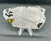 SEYMCHAN METEORITE PALLASITE FULL SLICE 56 g