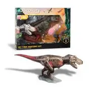 Discovery #Mindblown 4D T-Rex Dinosaur Anatomy Kit