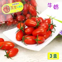 在飛比找PChome24h購物優惠-【愛蜜果】溫室玉女牛奶小番茄3盒(約600克/每盒)