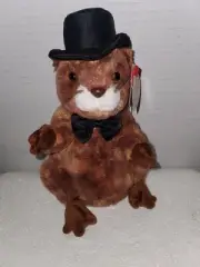 TY Beanie Baby - PUNXSUTAWNEY PHIL 2004 the Groundhog (6.5 inch)