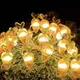 Quardi LED 露營室內燈串胡蘿蔔 20 燈 2m