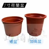 在飛比找蝦皮購物優惠-｜巧琦屋｜荷蘭盆7吋-矮盆/加高 栽培盆 紅盆 圓盆 塑膠花