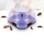 Reusable Pest Trap Box with Repellent Bait Anti Cockroaches Killer Ant