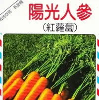 在飛比找Yahoo!奇摩拍賣優惠-紅蘿蔔(陽光人參) 【蘿蔔類種子】興農牌中包裝 每包約4公克