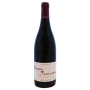 2020 Sarnin Berrux Bourgogne Passe Tout Grains Rouge | The Wine Collective