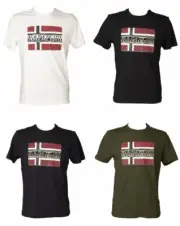 NAPAPIJRI men's t-shirt short sleeve crew neck cotton article NP0A4FRR SENCH SS