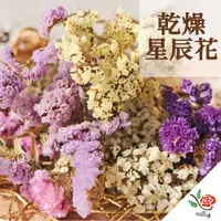 在飛比找PChome24h購物優惠-【極度花燥】乾燥星辰花