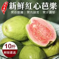 在飛比找momo購物網優惠-【果農直配】嘉義嚴選紅心芭樂(10斤/箱)