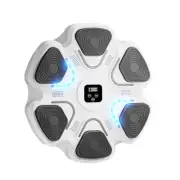 Bluetooth Boxing Trainer Wall Target for Agility and Reaction Training