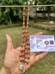 925 Silver LAB CERTIFIED Natural 5 Mukhi RUDRAKSHA Mala ROSARY 54 Beads Ganehsa