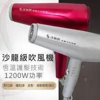 在飛比找Yahoo奇摩購物中心優惠-達新牌1200W負離子專業吹風機 TS-2390