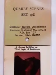 5 VINTAGE DINOSAUR NATURE ASSOCIATION QUARRY SCENES SLIDES NOS