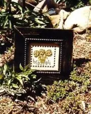 BROCCOLI-CROSS STITCH SAMPLER CHART-EWE & EYE & FRIENDS