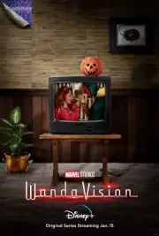 Wanda Vision Movie Poster 18'' x 28'' ID: 7