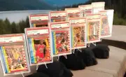 1987-88 Fleer Sticker Set Michael Jordan 2nd Year Graded NM-Mint No Old Slabs