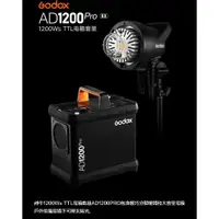 在飛比找樂天市場購物網優惠-【eYe攝影】預購 GODOX 神牛 AD1200PRO 閃