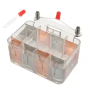 Saltwater Power Generation Case Interactive Fruit Battery Experiment for Student