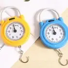 High Precision Iron Hook Scale Lightweight Kitchen Scale Home