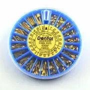 Dental Endo Gold Plated Conical Screw Posts Cross Head Root Assorted 240 Pcs