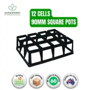 Square Pot Crate for 90mm Square Pots – Durable Tray for Plant Propagation