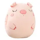 Plush Cushion Animal Shape Siesta School Students Dual-use Duck-shaped Plush Nap